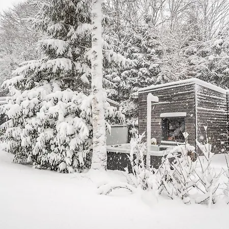 Chalet 5 - Les Jolis Barbey-Seroux