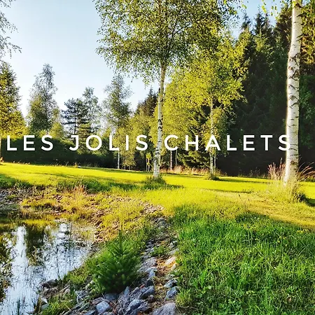 5 - Les Jolis
